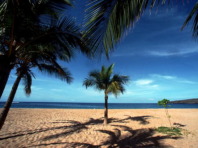 La plage de sable fin